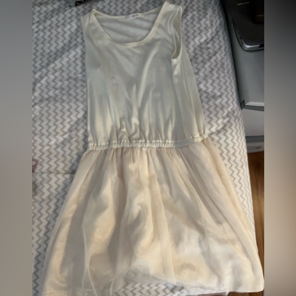 Tulle dress! Goes well with a cute top, and is knee length. In great condition.